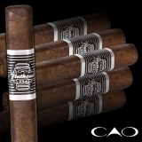 CAO Flathead V554 Camshaft - 24 Cigars